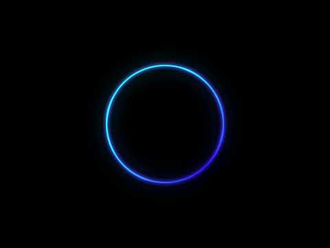 Baron X lion Winston- roulman