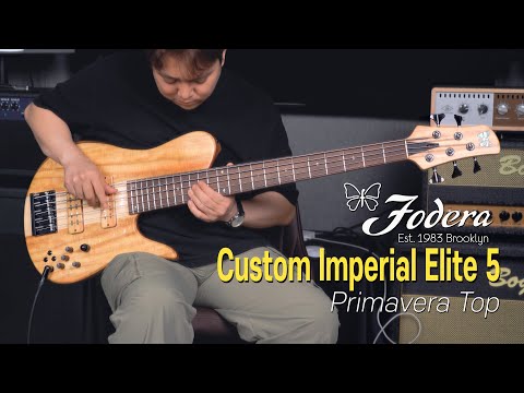 오윤철 (John Oh) - Fodera Custom Imperial Elite 5 ‘Primavera Top’ Demo