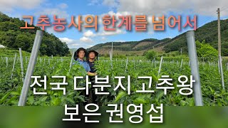 고추 전국 최고작황 (보은 권영섭 다분지고추왕)-농사비결