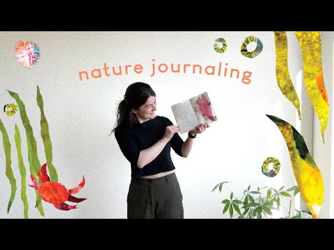 Sketchbook ideas | nature journaling, painting & collage