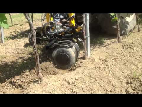 SCALZATORE POSTERIORE ORION