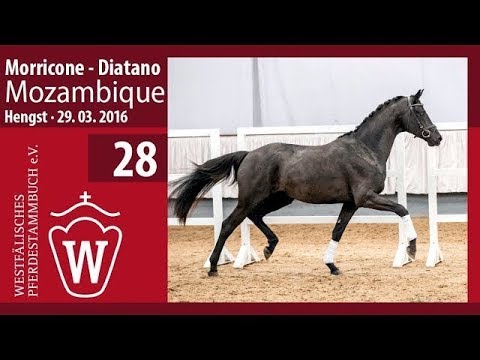 28 Longiervideo Mozambique (Hengst v. Moricone - Diatano)