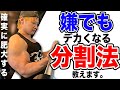 確実に【デカくなる分割法】を紹介します。