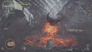 モンハンワイルズ　ゾ・シア　ペア　ハンマー,ヘビィ　09'32''56