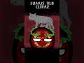 Roman Empire – countryballs edit - PolishTortoise Roman Empire – countryballs edit