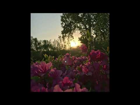 [FREE] h jeunecrack + realo + luther guitare type beat - "avant ça" (p. 6min)