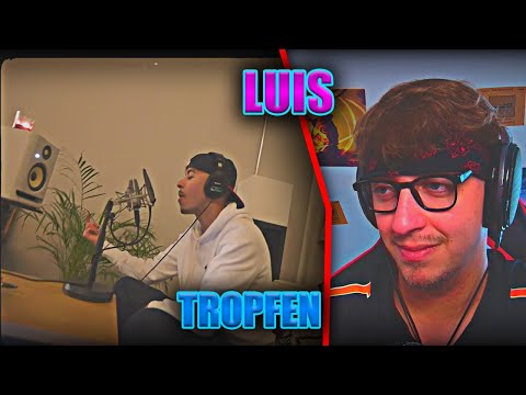 ProjektPi REACTS to LUIS – TROPFEN