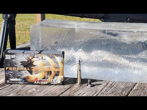 Federal HammerDown Ammo Review – Is It Worth It?