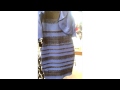 WHITE and GOLD OR BLACK and BLUE? - What Color.