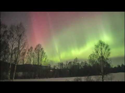 Wieder Nordlichter über dem schwedischen Nachthimmel