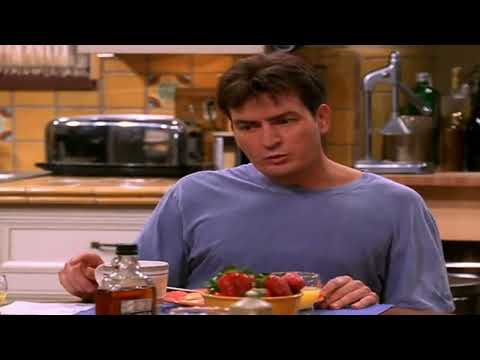 Charlie Sheen ,Jon Cryer, in Two and the half men -  Beards ( two heads)