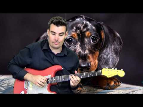 Puppy Love - Donny Osmond - Guitar Cover
