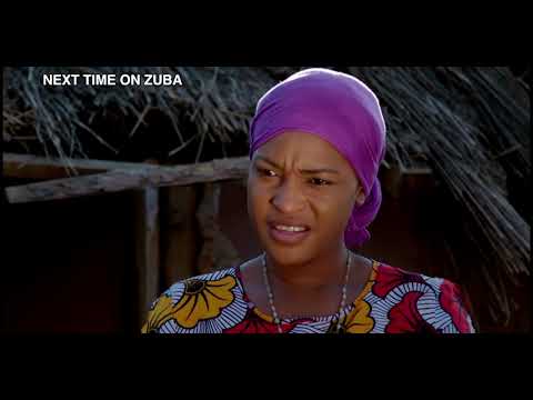 Searching for answers -  Zuba | S 5  | Ep 129 | OneZed