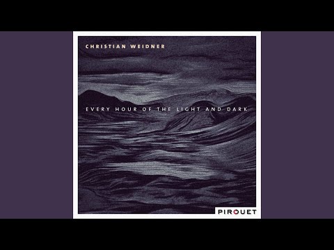 Weightless (feat. Achim Kaufmann, Samuel Rohrer, Henning Sieverts)