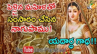 Real Story Of A Woman Who Had An Affair With Snake || నాగుపాము వల్ల బిడ్డని కన్న మానవ స్త్రీ కధ