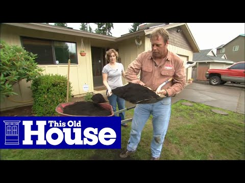 How to Fix a Patchy, Weedy Lawn | This Old House