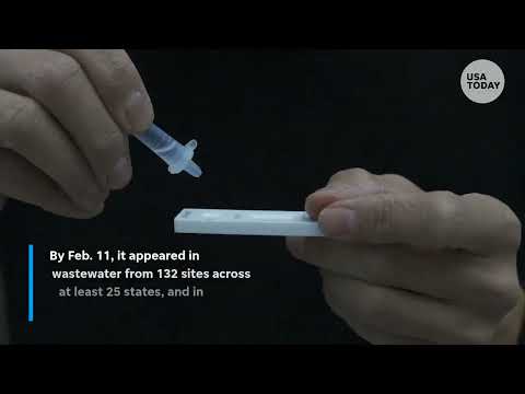 What to know about COVID variant 'Cicada' as cases rise