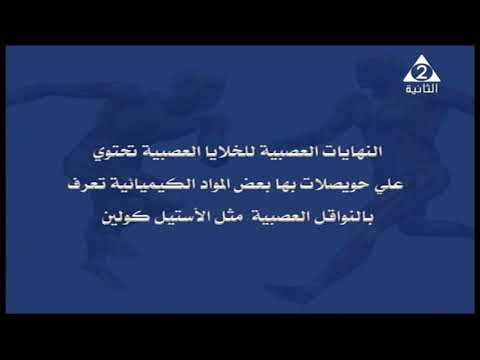 أحياء 3 ثانوي أ عصام حنفي 01-10-2019