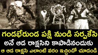 Download lagu FEMALE MONSTER BLESSED FOR SAVE HER LIFE | JWALA DEEPA RAHASYAM | KANTHA RAO | V9 VIDEOS mp3 Download lagu FEMALE MONSTER BLESSED FOR SAVE HER LIFE | JWALA DEEPA RAHASYAM | KANTHA RAO | V9 VIDEOS mp3