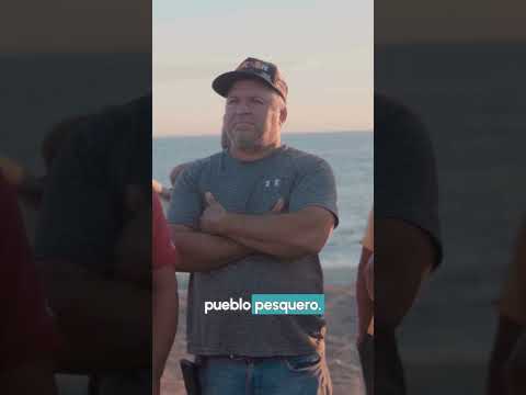 Puerto Libertad no es un mapa, es una comunidad viva 🌵🌊