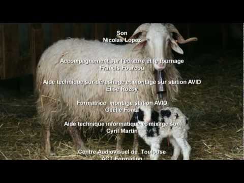 Extrait la vie d'un berger au pays Basque