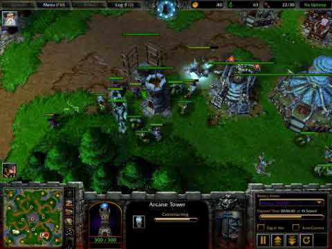 th000 vs Fly100% - Warcraft 3 English Commentry