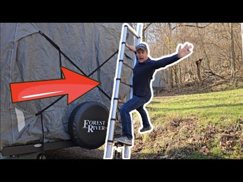 Ladders Harbor Freight