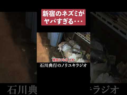 漂白剤はネズミを怖がらせますか?リーダーに従う  庭園