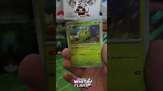 Pack Rip - Episode 11 - Scarlet & Violet: White Flare!