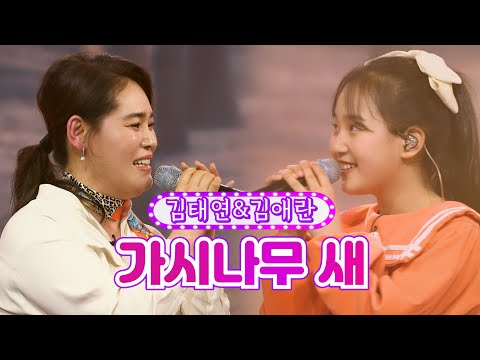 김태연&김애란 - 가시나무 새화요일은 밤이 좋아 18화 220405 방송