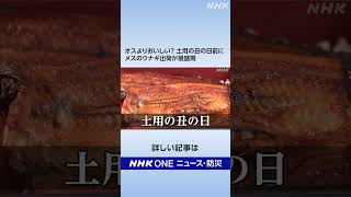 オスよりおいしい 土用の丑の日前にメスのウナギ出荷が最盛期 | NHK | #shorts