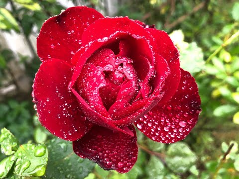 Das, was besser bleibt