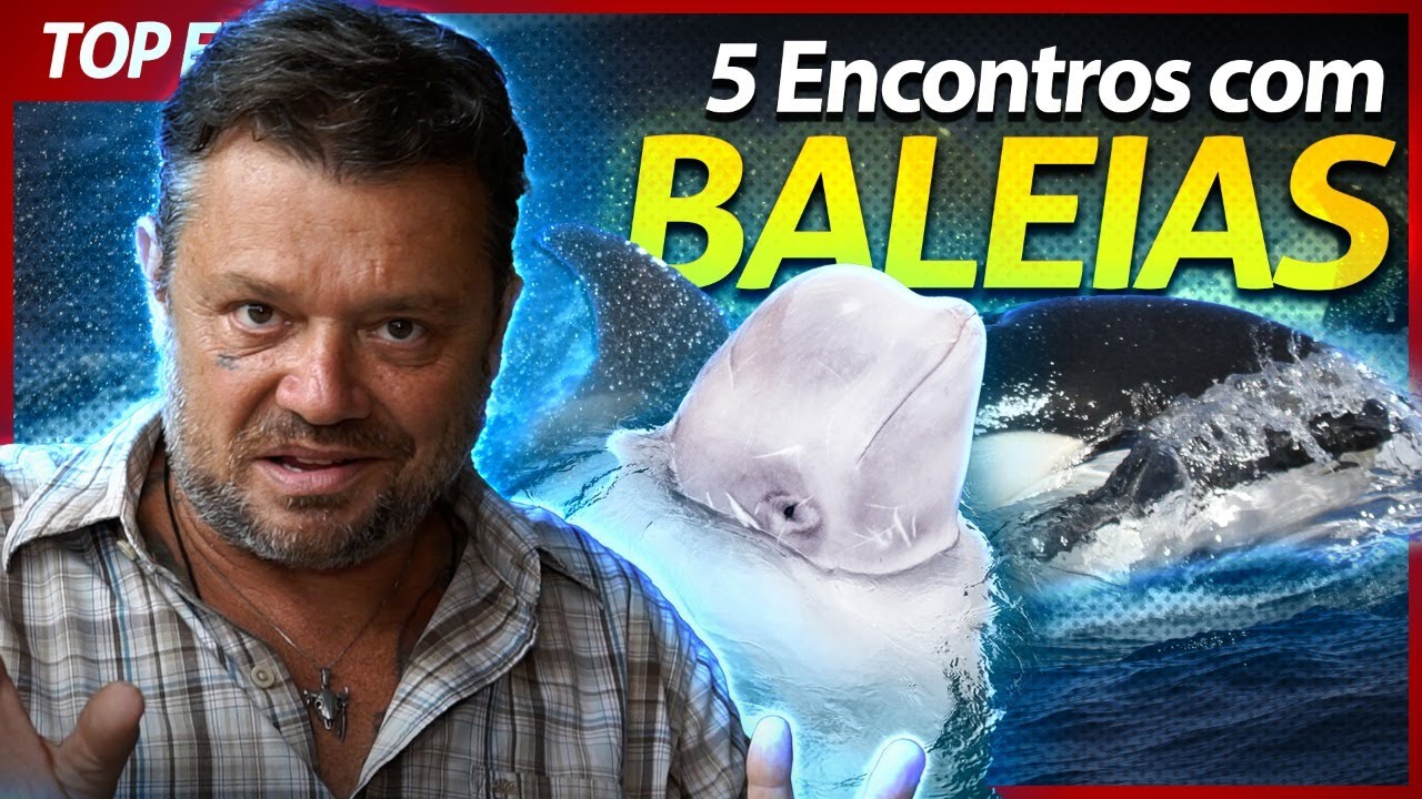 AS CINCO BALEIAS MAIS INCRÍVEIS QUE EU JÁ ENCONTREI! | RICHARD RASMUSSEN