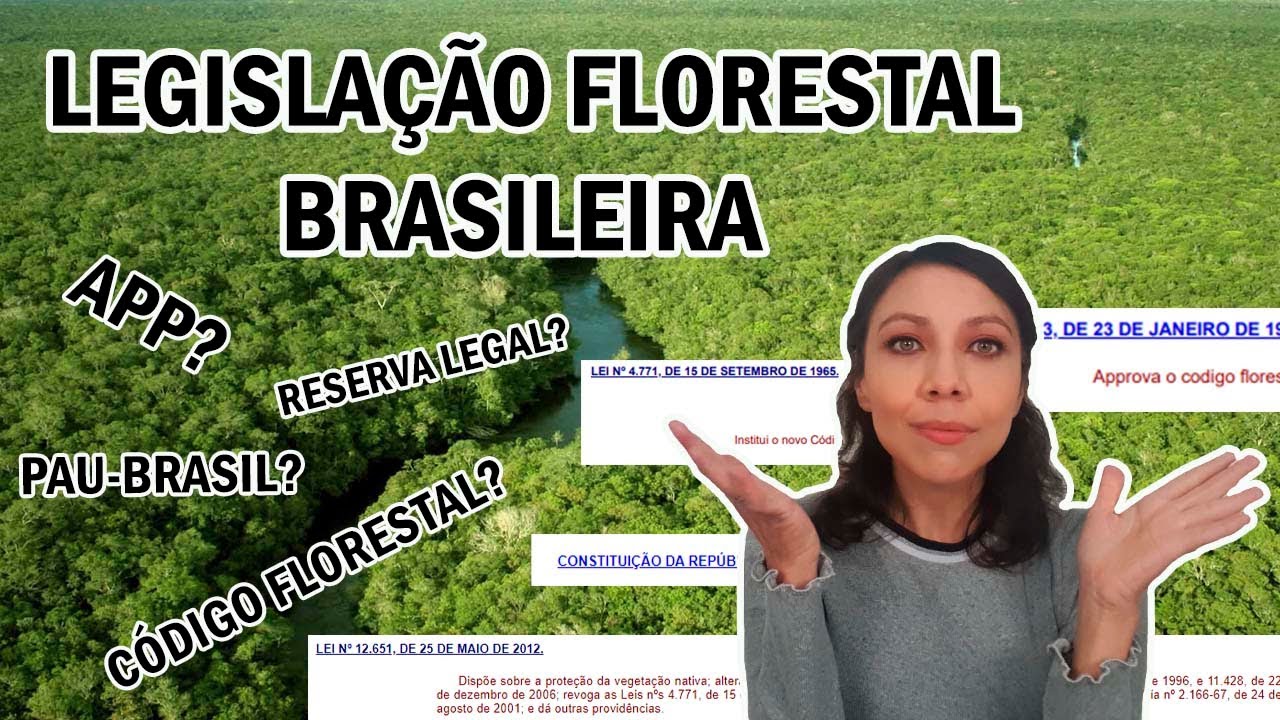 A História da Legislação Florestal Brasileira (Código Florestal) #58