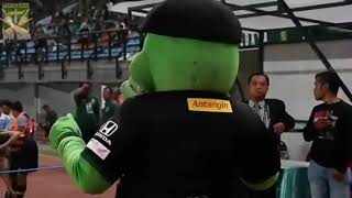 Download lagu Story Wa Moment Jojo Maskot Persebaya di stadion gelora bung tomo😂 mp3 Download lagu Story Wa Moment Jojo Maskot Persebaya di stadion gelora bung tomo😂 mp3