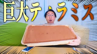 夢が叶いました！コストコの巨大ティラミスを独り占め！