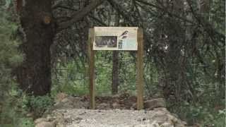 preview picture of video 'Forêt des Sens - Villeneuve de Berg'