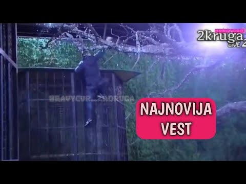 BEBICA POBEGAO IZ "ZADRUGE 5"!