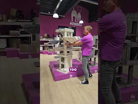 Petrebels cat trees - Ramses 158