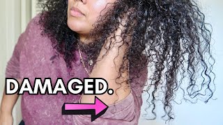 Soooo My Hair is DAMAGED... | 2023 BEST HAIR EVER CHALLENGE UPDATE + GIRL TALK | Ashkins Curls