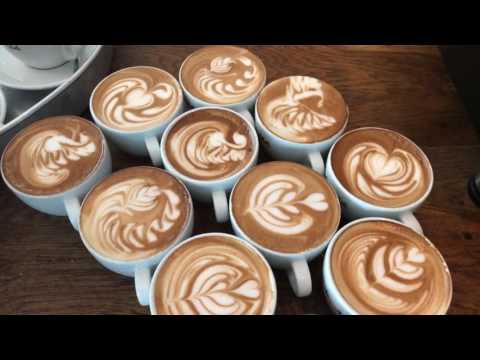 download lagu mp3 mp4 Barista Study, download lagu Barista Study gratis, unduh video klip Barista Study