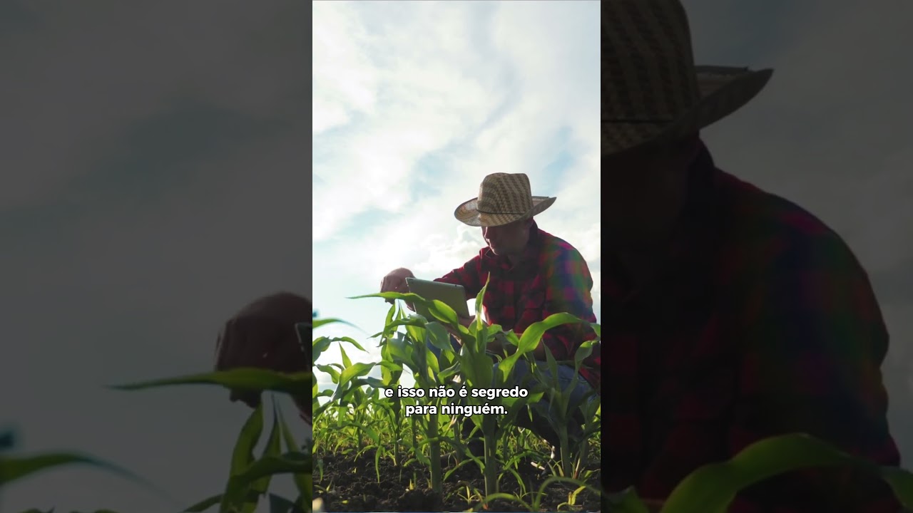 Um programa para garantir mais segurança, equilíbrio e proteção ao produtor rural.