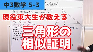 サンプル動画