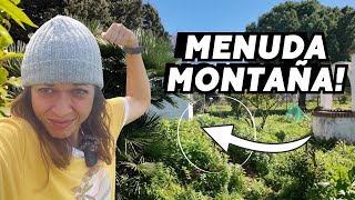 La finca está salvaje y la montaña de escombros parece que creciera. ¡ESTO ES EXTREMO! 😰 Vlog277
