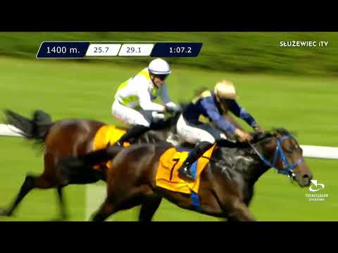 Nagroda Haracza (Specjalna) - (kat.B) 11.06.2022 (Dzień 12; Gonitwa 3)