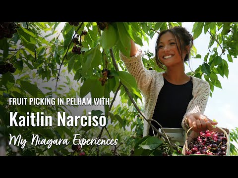 Niagara Fruit Picking with Kaitlin Narciso – My Niagara Experiences