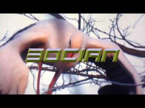 PNG BOYS; D-WHITE, SUCHY MAJK, ABEL, JORDAH, PŁATEK, J.KOSSAK, KRÓL ŚWIATA, HOLAK - BOCIAN