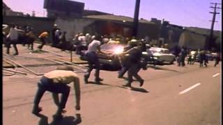 The Weather Underground - Official Trailer