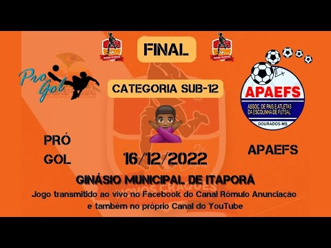 #157 3a Copa Novos Craques de Futsal em Itaporã - FINAL - Categoria Sub-12 / PRÓ GOL X APAEFS