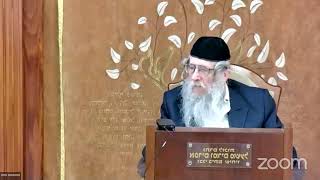 הרה"ג הרב וועכטר שליט"א ט' אדר א' תשפ"ד - מאמר הרבי הריי"צ (הרב אברהם מנחם מענדל וכטר) - התמונה מוצגת ישירות מתוך אתר האינטרנט יוטיוב. זכויות היוצרים בתמונה שייכות ליוצרה. קישור קרדיט למקור התוכן נמצא בתוך דף הסרטון